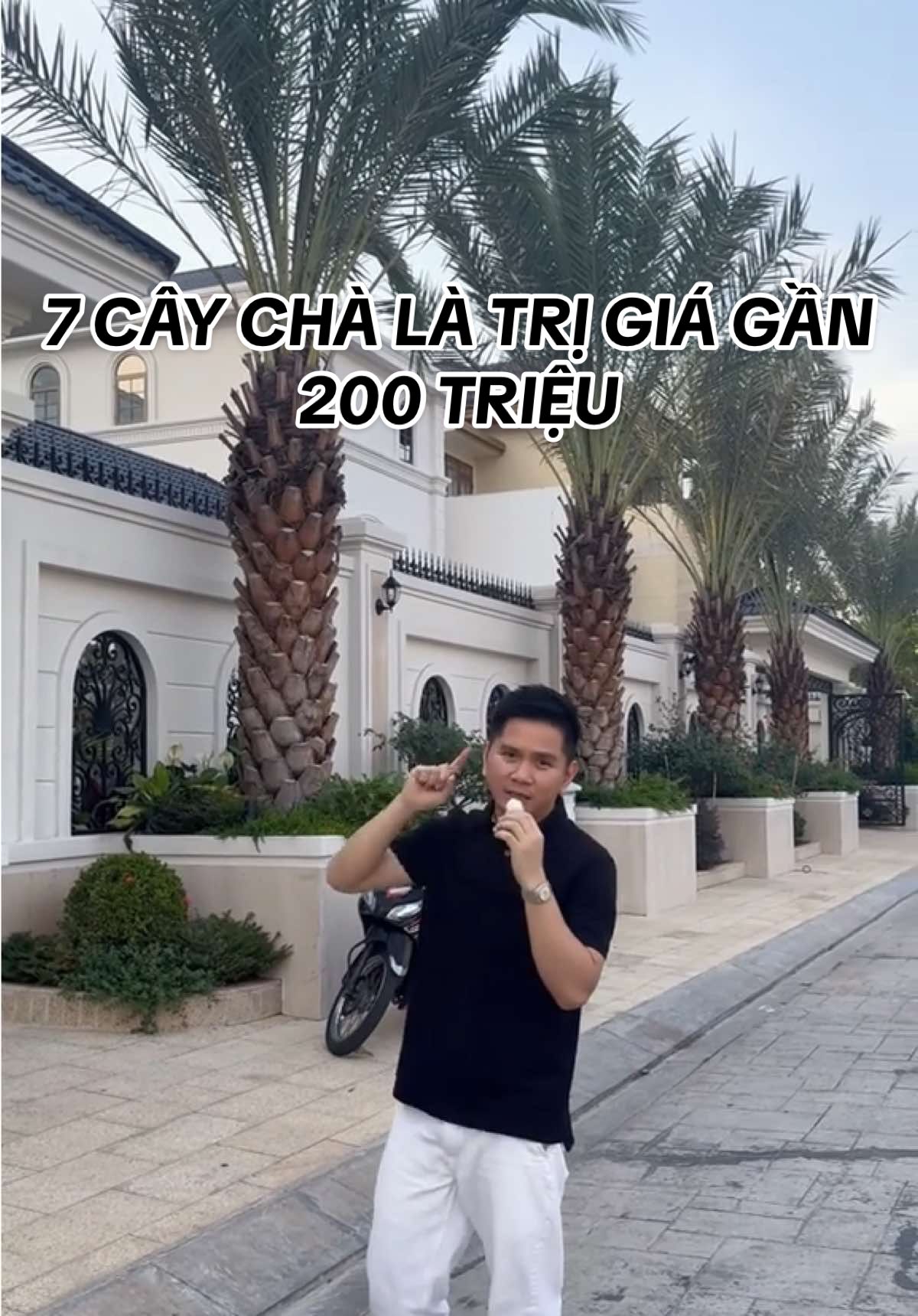 7 cây chà là trị giá gần 200 triệu